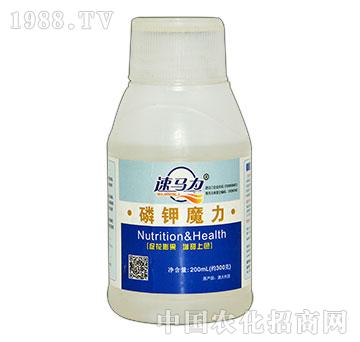 ���ħ��-���R��-�а�