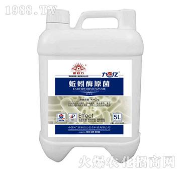 蚯蚓酶原菌-新啟力