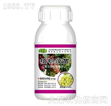 植物疫苗（葡萄專用型）-沃豐隆-德強