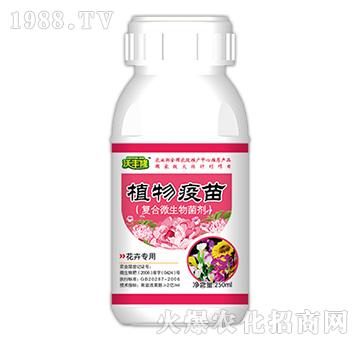 植物疫苗（花卉專用型）-沃豐隆-德強