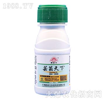 蕓菌天下-新啟力