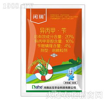 20%�����ס��S-�e��