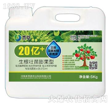 20億+生根壯苗膨果型三級(jí)深層發(fā)酵原菌液（壺）-禾萃