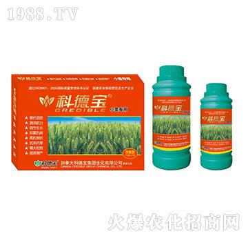 С�����àI�B(y��ng)���a(ch��n)�{(di��o)�턩