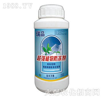 ����(qi��ng)ֲ�������-��Ʒ-