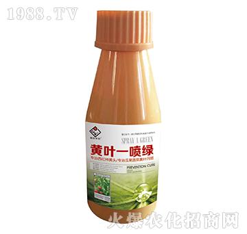 黃葉一噴綠-強農生物