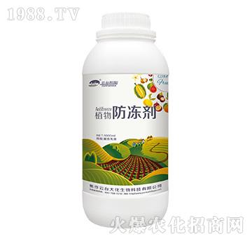 ֲ�������-���_��