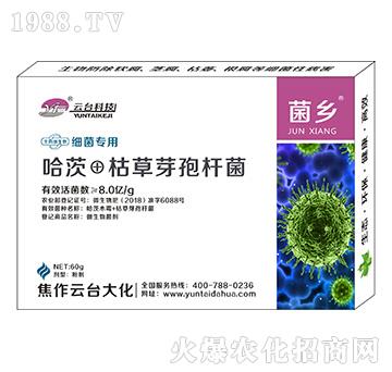 細(xì)菌專(zhuān)用菌鄉(xiāng)-云臺(tái)大化