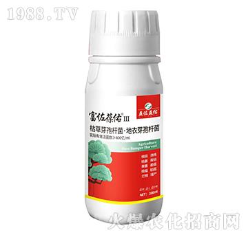 �ݲݡ�����ѿ�ߗU��-��������III-��������