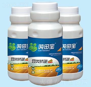 豆類抗逆增產劑-噸田寶-禾田豐澤