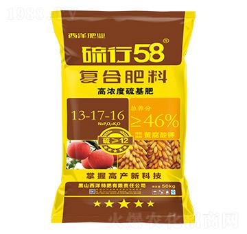 �ߝ�s�����(f��)�Ϸ���13