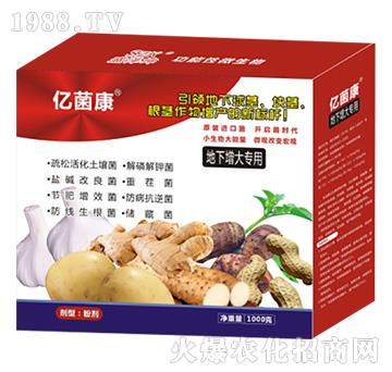 地下增大專(zhuān)用-億菌康R-盛澤坤