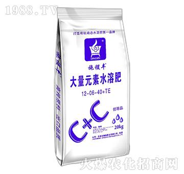 ����Ԫ��ˮ�ܷ���12-06-40+TE-ʩ��S-���ηʘI(y��)