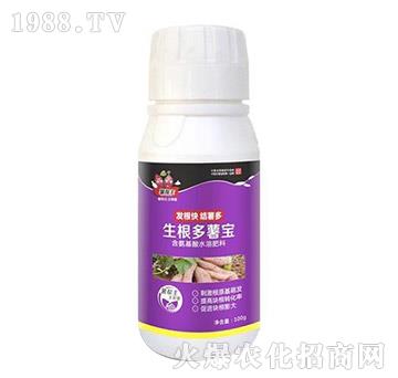 �������팚-�����-���A����