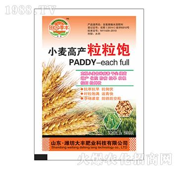 小麥高產(chǎn)粒粒飽-田園季豐-大豐肥業(yè)