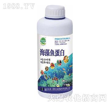 海藻魚(yú)蛋白-田園季豐-大豐肥業(yè)