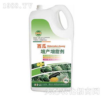 西瓜增產(chǎn)增甜劑-田園季豐-大豐肥業(yè)