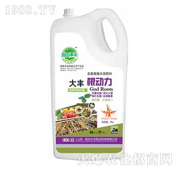 大豐根動力-田園季豐-大豐肥業(yè)