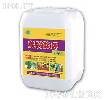 10kg黃腐酸鉀-田園季豐-大豐肥業(yè)