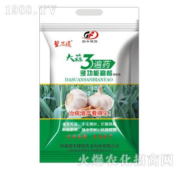 大蒜3遍藥多功能套餐-管三遍-國豐健園