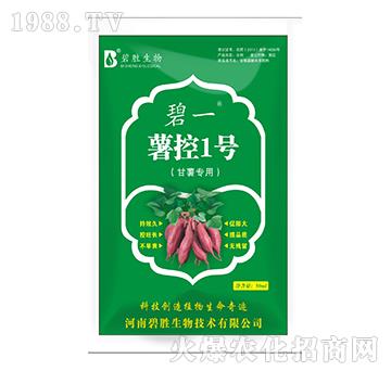 �t����������-����1̖������-��һ-�̄�����