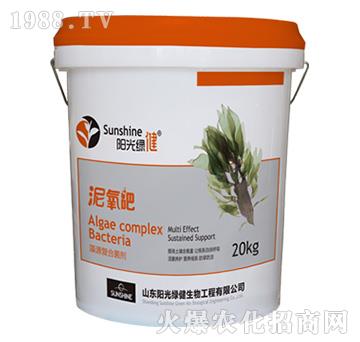 藻源復合菌劑-泥氧吧-陽光綠健