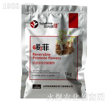 ����ٻ����ܾ���-ů��-ꖹ�G��