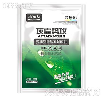 微生物菌劑復(fù)合菌群-灰霉勢(shì)攻-蕓樂(lè)彩-艾米洛