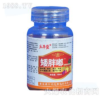 ֲ���{��(ji��)�����K���o���ã�-�����-�����_