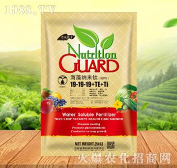 海藻納米肽19-19-19+TE+Ti（袋）-大地詠樂(lè)