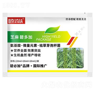 芝麻碧多加-鑫禾生物