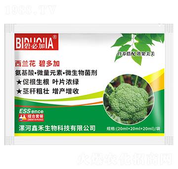 西蘭花碧多加-鑫禾生物