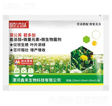 蒲公英碧多加-鑫禾生物