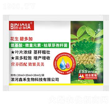 花生碧多加-鑫禾生物