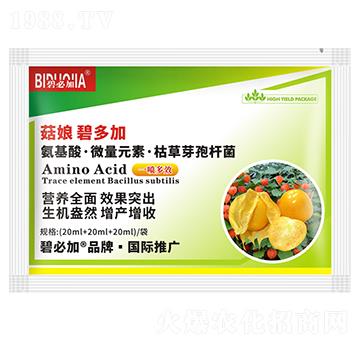 菇娘碧多加-鑫禾生物