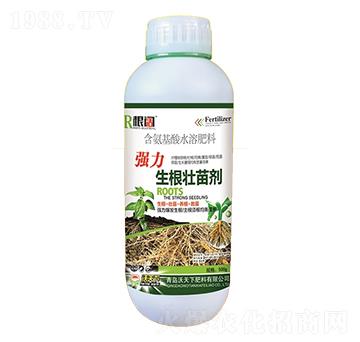 500g�������焩-���-������