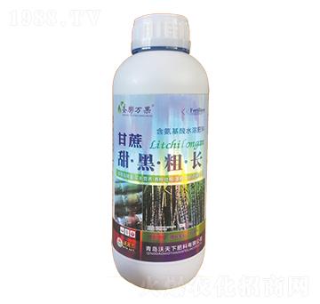 1000ml������ڴ��L-ʥ���f��-������