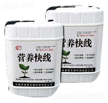 含氨基酸水溶肥料-營養(yǎng)快線-奧林生物