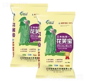 豆角嫩直花莢寶-施力奇-裕田高科