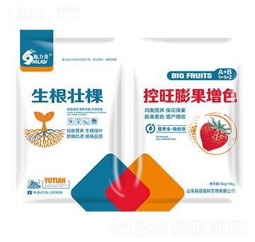 控旺膨果增色+生根壯棵-裕田高科