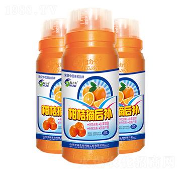 柑桔摘后補(bǔ)-施力奇-裕田高科