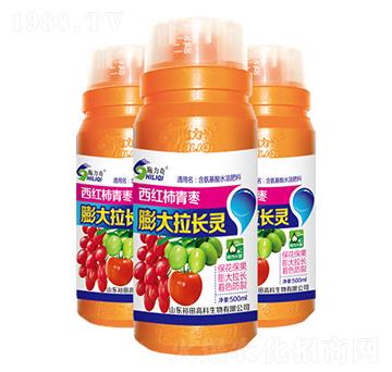 西紅柿青棗膨大拉長(zhǎng)靈-施力奇-裕田高科