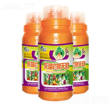 死苗爛根天敵-施力奇-裕田高科