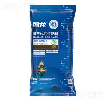 �������������Է���16