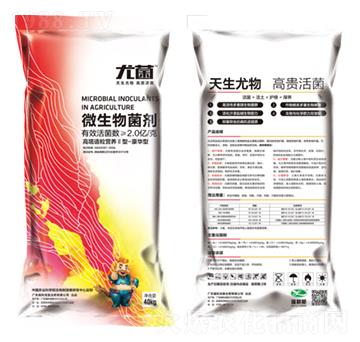 ΢�������-�Ⱦ�-����