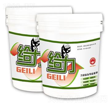 �����B(t��i)���������-�o��