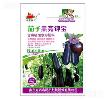 含腐植酸水溶肥料-茄子黑亮鉀寶-遠(yuǎn)東肥料