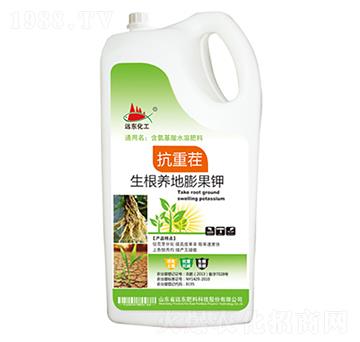 抗重茬-生根養(yǎng)地膨果鉀-遠東肥料