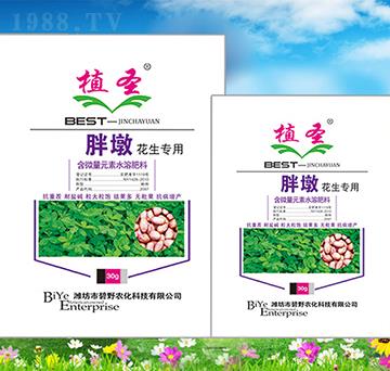 �ֶջ�����(zhu��n)��-ֲʥ-��