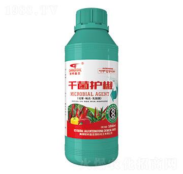 枯草·地衣·乳酸菌-千菌護(hù)椒-聯(lián)邦嘉吉